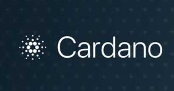 Na czym polega sieć Cardano?
