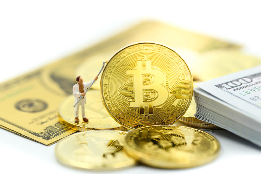 Czy Bitcoin miał Ico Coins?
