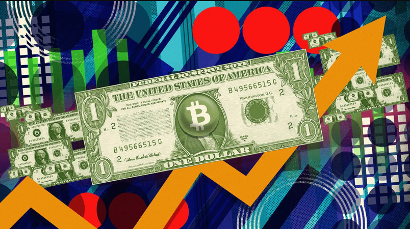 Opinie użytkowników Easy Crypto - Recenzje klientów