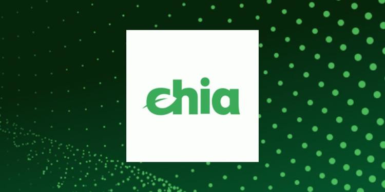 Jak duży jest blockchain Chia?