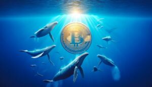 Czy wieloryby Bitcoina się wycofują?