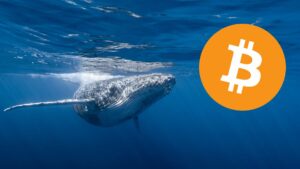 Starożytny wieloryb Bitcoin osiąga 60 milionów dolarów po 12 latach!