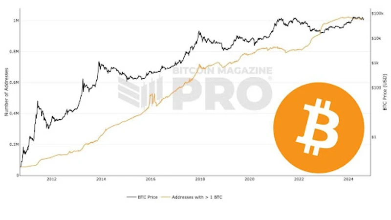 Wykres przedstawiający liczbę adresów Bitcoin posiadających 1 BTC
