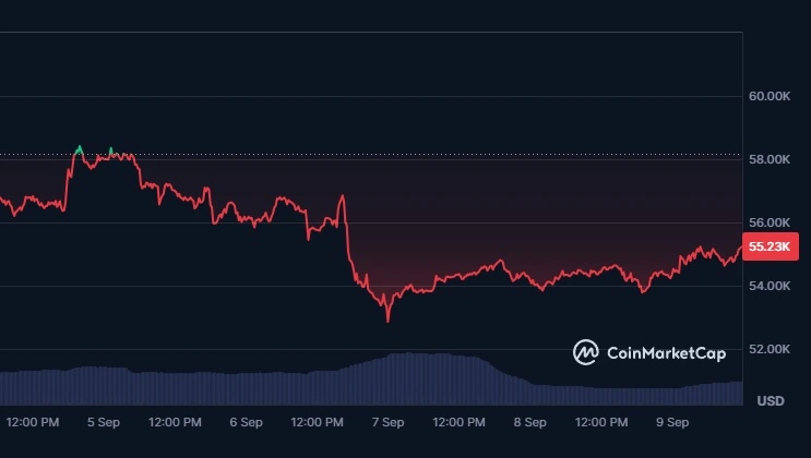 Wartość bitcoina spadła do 52,850 USD.
