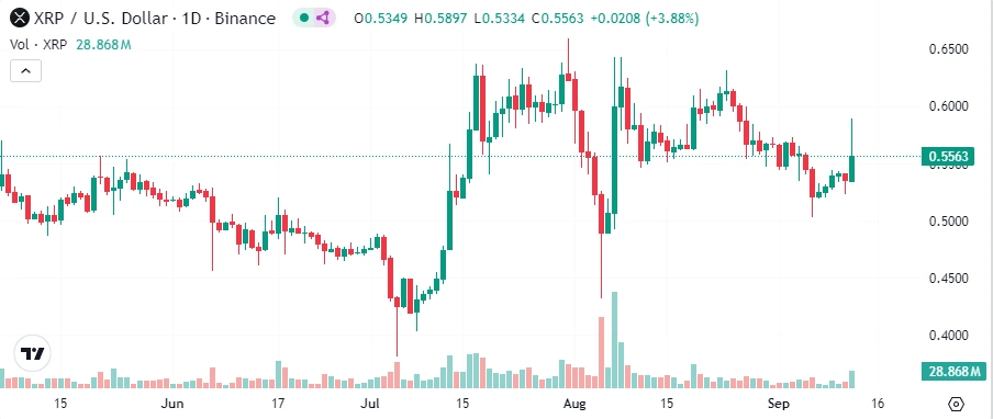 XRP o 8%
